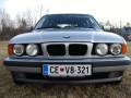 Za predogled slike klikni "P1153162 (800 x 600)"