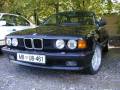 Za predogled slike klikni "PA048854 (800 x 600)"